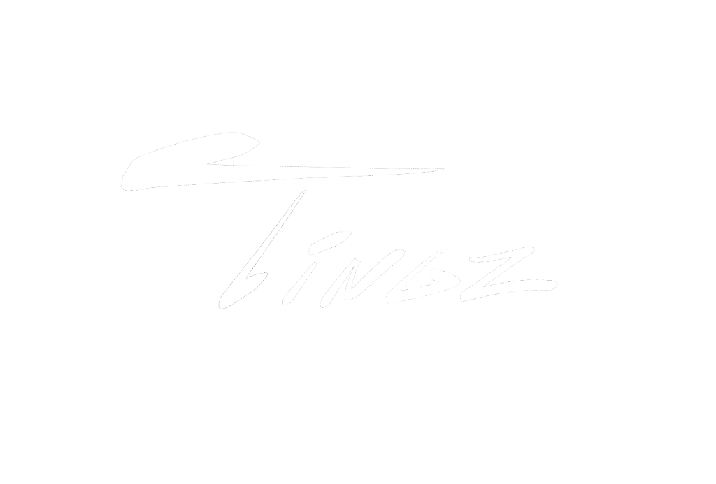 Tingz Studio Logo
